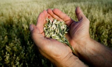 L’agricoltura pulita può salvare il clima E si appella al governo