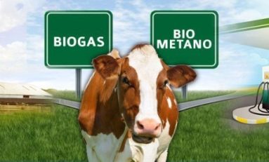 Biogas, biometano e disinformazione