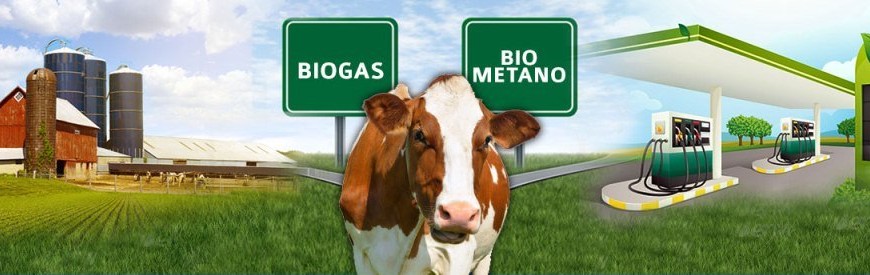 Biogas, biometano e disinformazione