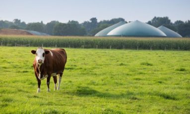 Energie per l’Italia dal Comparto Agro-Industriale