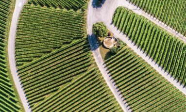 Tecnologie, biometano e patrimonio forestale per il rilancio delle filiere agricole: Sì dalla Camera