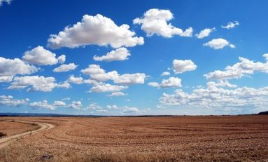 Agricoltura, sviluppare il biogas per dare una spinta alla transizione green